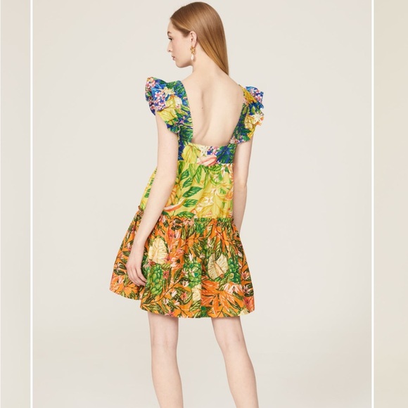 Farm Rio Caipirinha Mini Dress - Picture 3 of 3